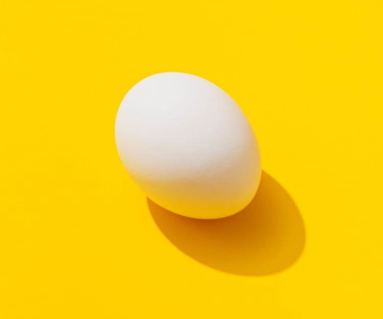 egg photo